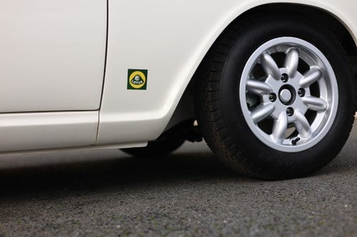 1964 Lotus Ford Cortina Mk1 FIM Prepared Race Car till salu (bild 124 av 308)