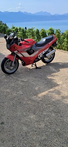 1991 Suzuki GSX 750 F Te koop (foto 19 van 19)