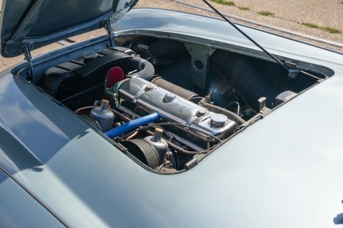 1954 Austin Healey 100/4 BN1 For Sale (picture 97 of 153)