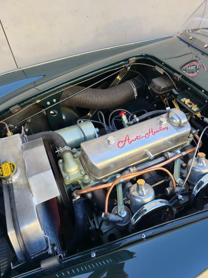 1954 AUSTIN HEALEY 100 BN1, foto 7