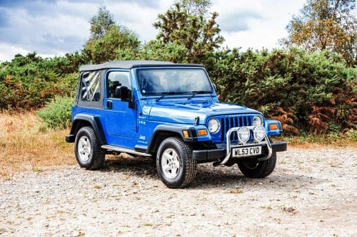 2003 Jeep Wrangler TR2 - Tomb Raider 2 na sprzedaż (zdjęcie 1 z 117)