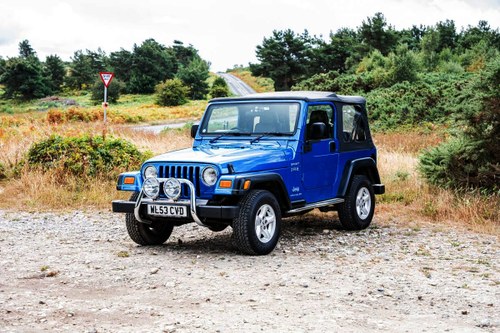 2003 Jeep Wrangler TR2 - Tomb Raider 2 na sprzedaż (zdjęcie 3 z 117)