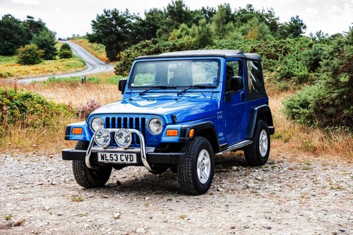 2003 Jeep Wrangler TR2 - Tomb Raider 2 na sprzedaż (zdjęcie 4 z 117)