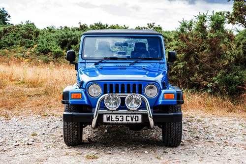 2003 Jeep Wrangler TR2 - Tomb Raider 2 na sprzedaż (zdjęcie 5 z 117)