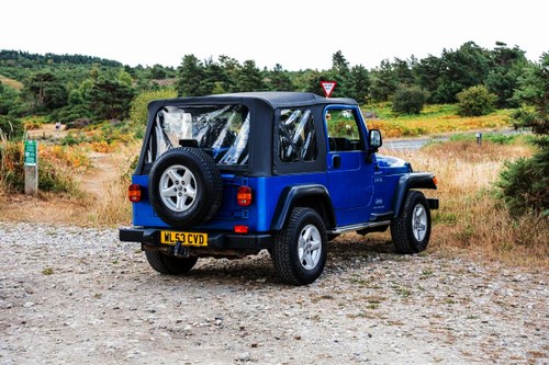 2003 Jeep Wrangler TR2 - Tomb Raider 2 na sprzedaż (zdjęcie 7 z 117)
