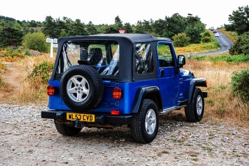 2003 Jeep Wrangler TR2 - Tomb Raider 2 na sprzedaż (zdjęcie 8 z 117)