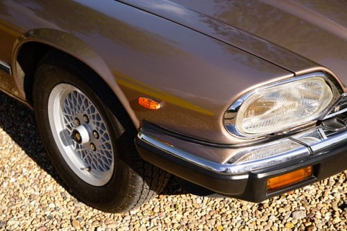 1985 Jaguar XJ-S 3.6 Coupé Manual - 59,870 Miles For Sale (picture 99 of 295)