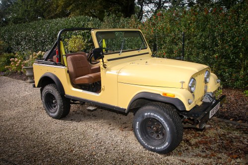 1978 Jeep CJ7 Renegade For Sale (picture 2 of 96)