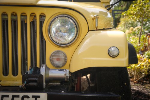 1978 Jeep CJ7 Renegade For Sale (picture 53 of 96)