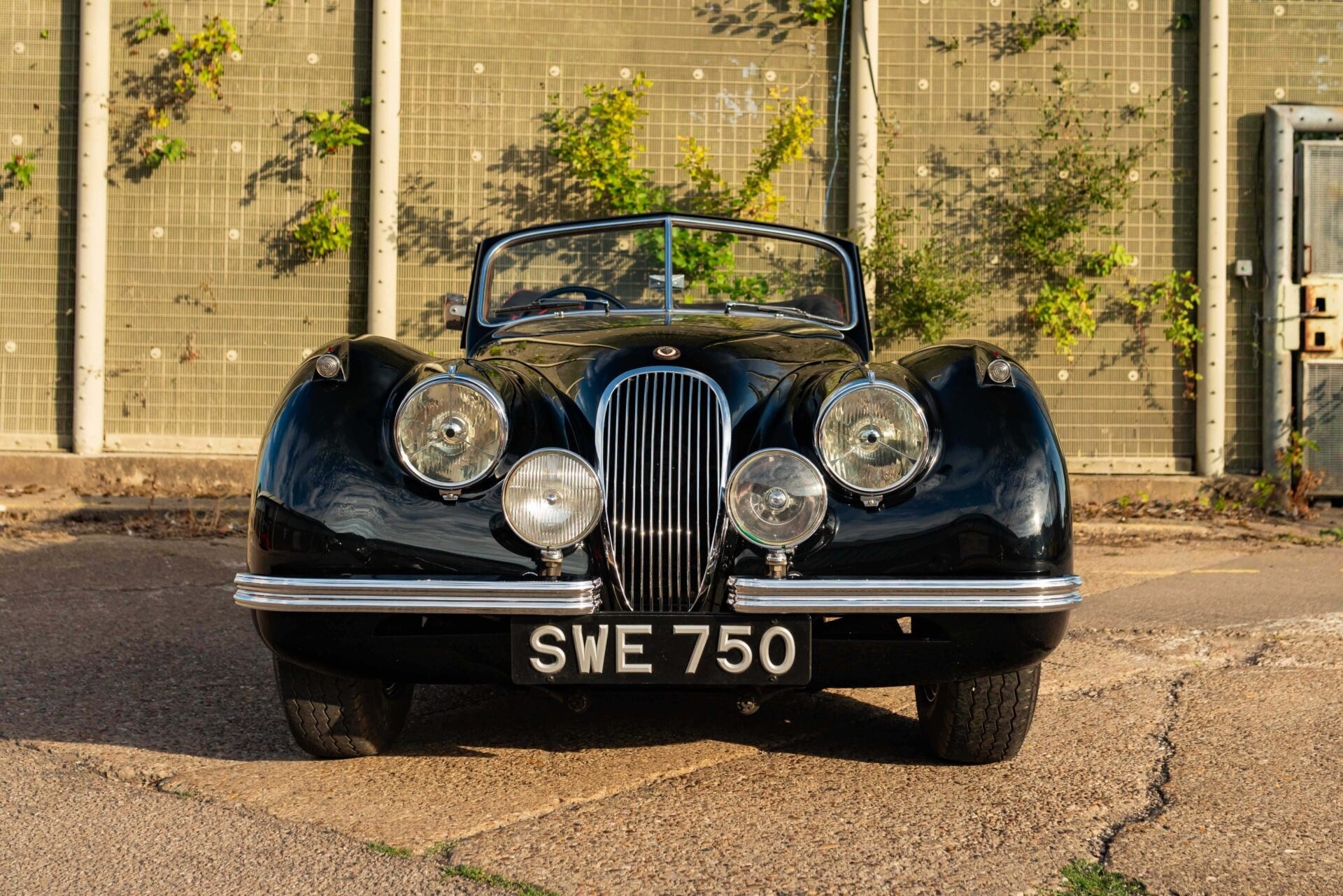 1954 Jaguar XK120 DHC, foto 5