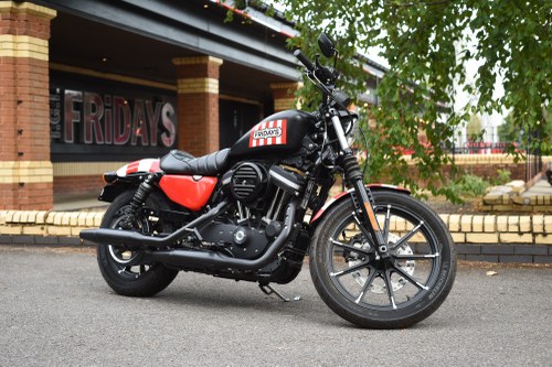 2014 Harley-Davidson Sportster XL883N Iron 883 zum Verkauf (Bild 1 von 81)