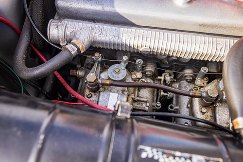 1982 Alfa Romeo Spider For Sale (picture 85 of 114)