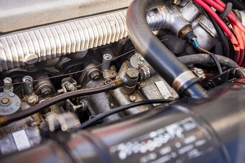 1982 Alfa Romeo Spider For Sale (picture 86 of 114)
