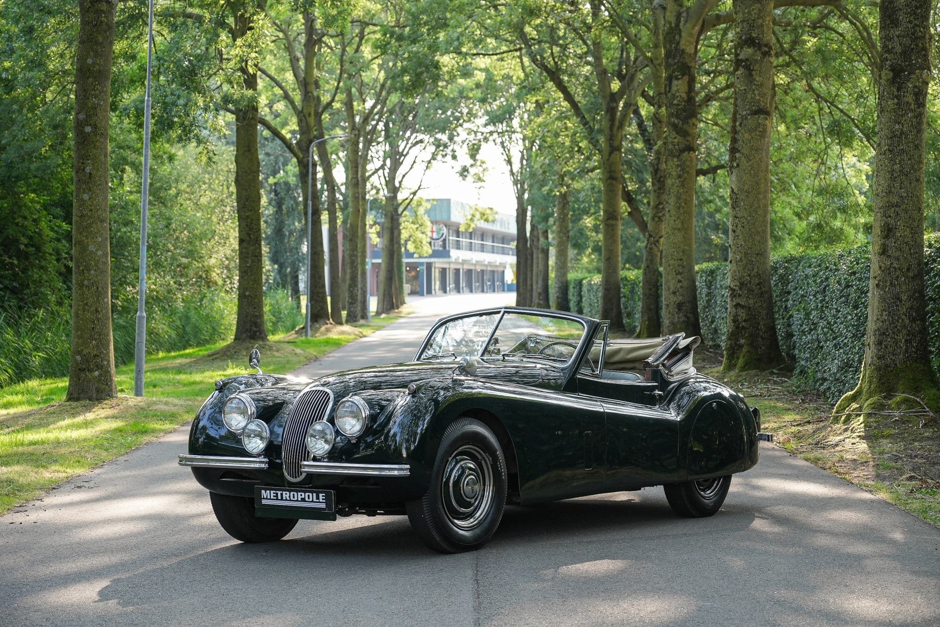 1953 Jaguar XK 120 Drophead Coupé, foto 1