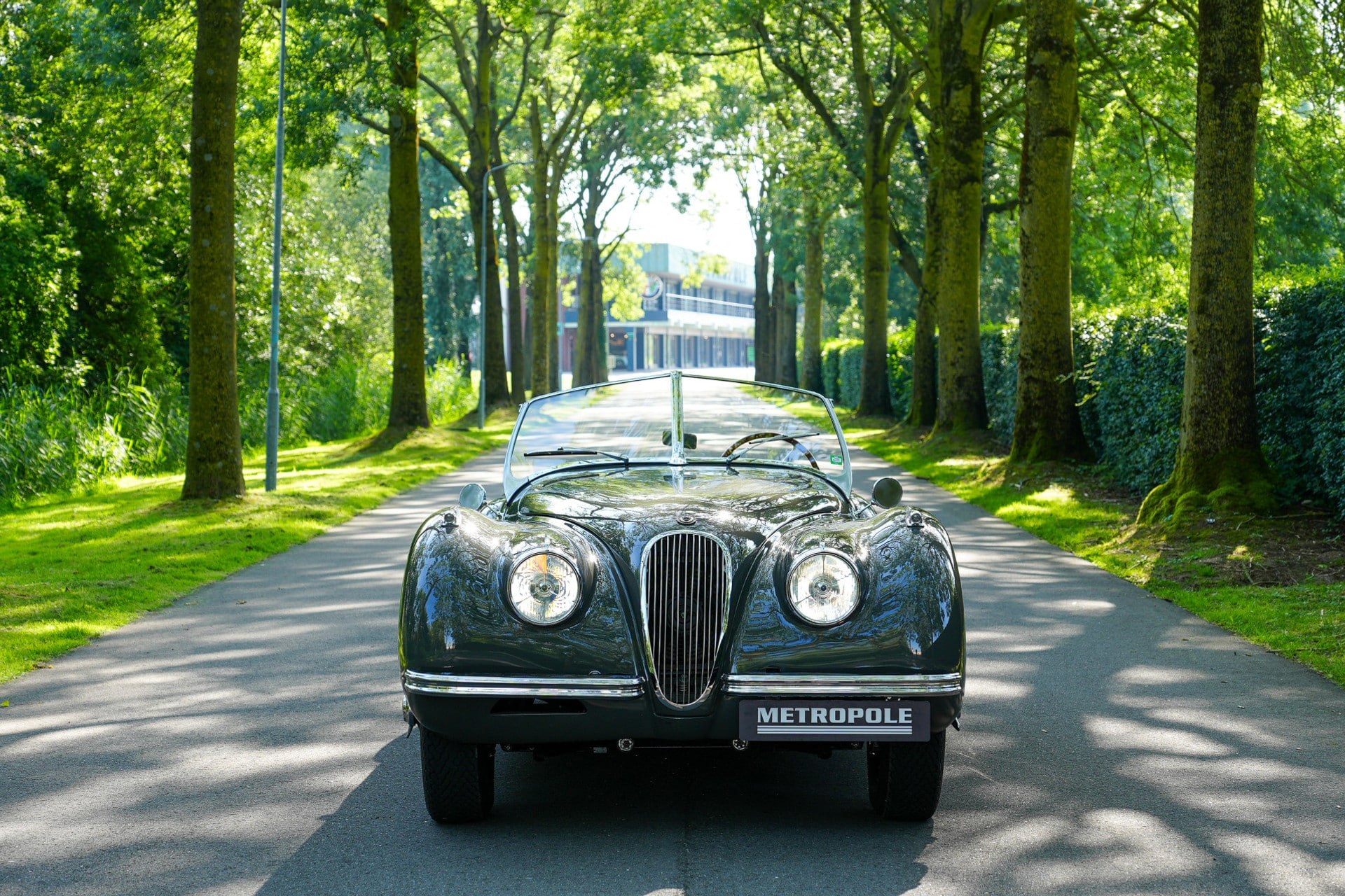 1951 Jaguar XK120 OTS, foto 10