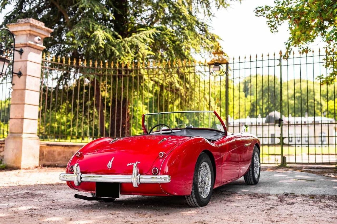1955 AUSTIN HEALEY 100 BN1, foto 3