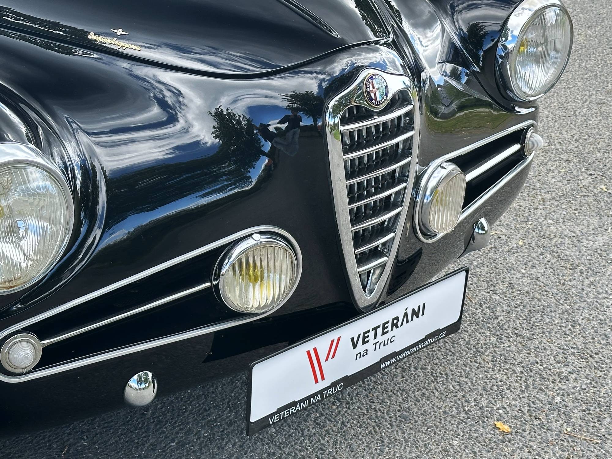 1954 Alfa Romeo 1900, foto 9