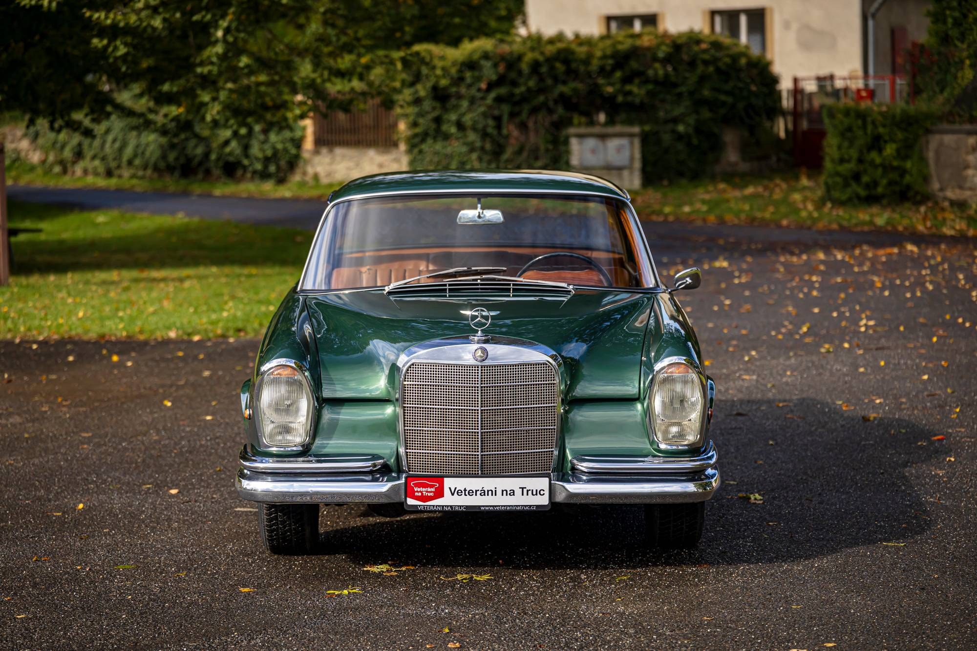 1967 Mercedes 250 250 S W108, foto 7