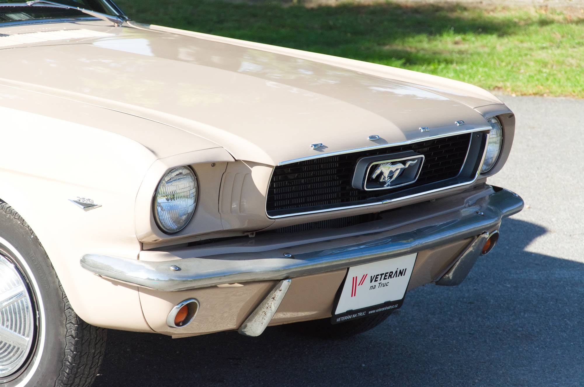 1966 Ford Mustang Fastback 1st Gen (1965-1966), foto 9