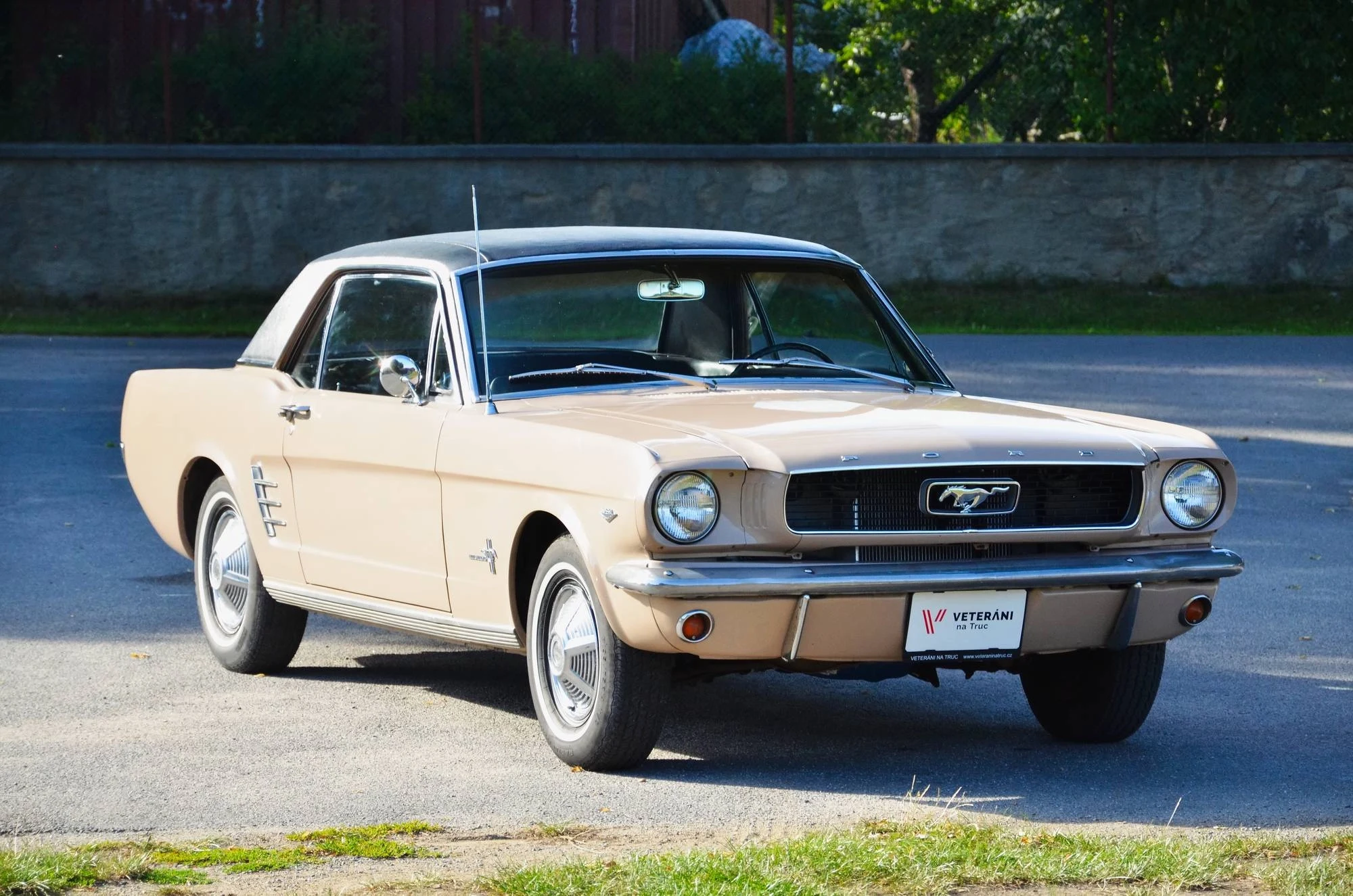 1966 Ford Mustang Fastback 1st Gen (1965-1966), foto 1