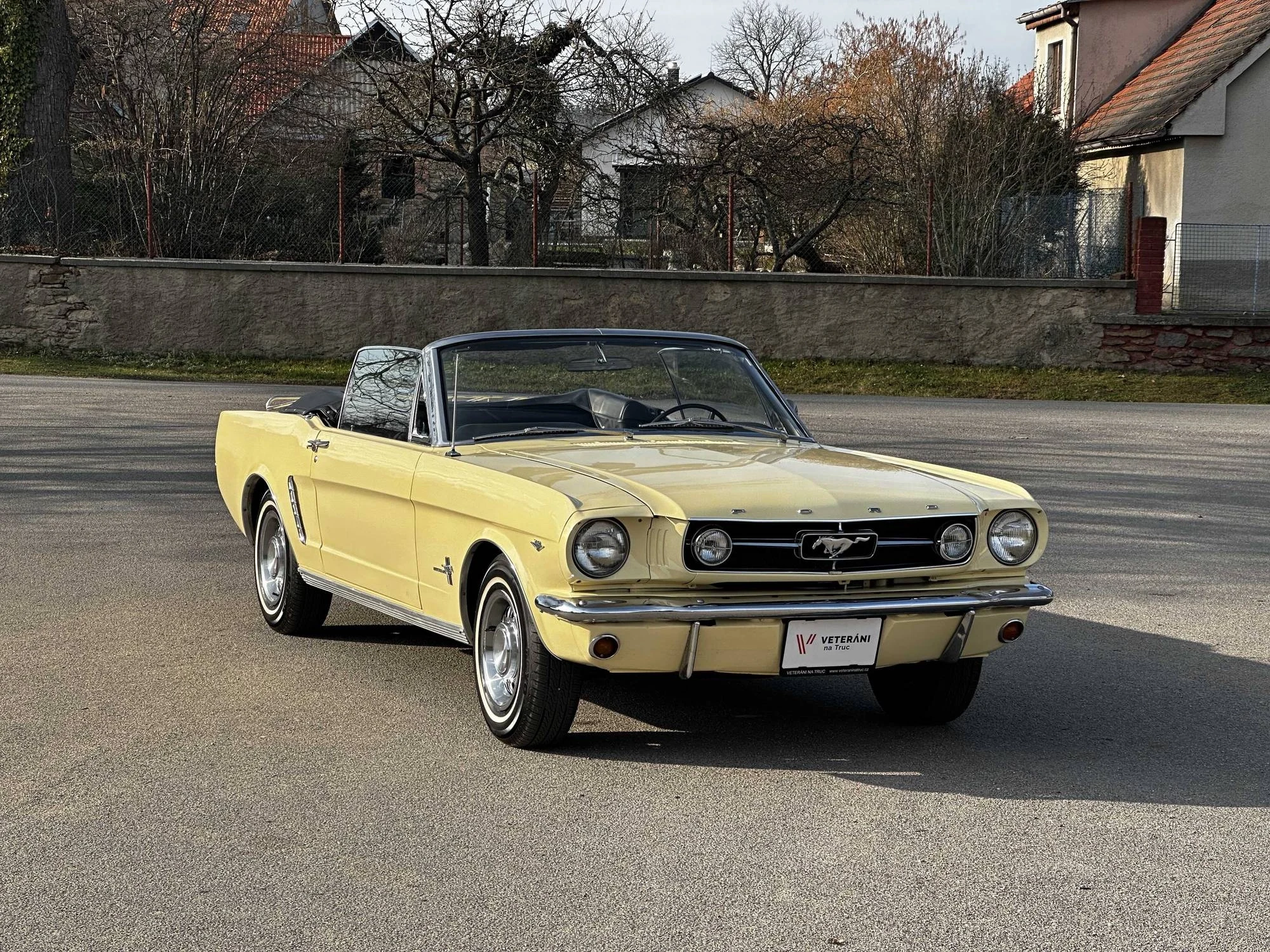 1965 Ford Mustang Fastback 1st Gen (1965-1966), foto 1
