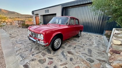 Alfa Romeo Giulia Type 105
