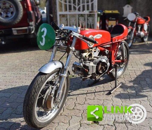 1965 AERMACCHI - HARLEY DAVIDSON - ALA D'ORO 250 In vendita