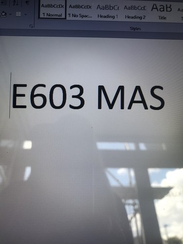 0000 NUMBERPLATE E603 MAS For Sale