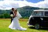 1957 6 VW Campervans and two beetles for wedding hire  For Sale