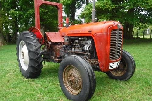 1961 FULLY WORKING 3 CYL DIESEL READY TO WORK CAN DELIVER VENDUTO