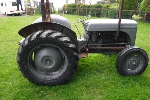 1954 DIESEL FERGIE GREAT RUNNER + EXTRAS CAN DELIVER SEE VIDEO VERKAUFT