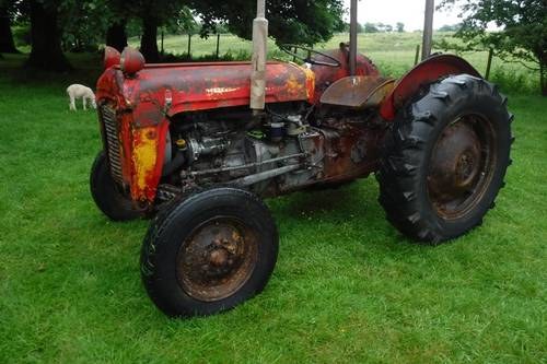 1961 CHEAP RUNNING WELL VINTAGE MASSEY FERGUSON TRACTOR SEE VID VENDUTO