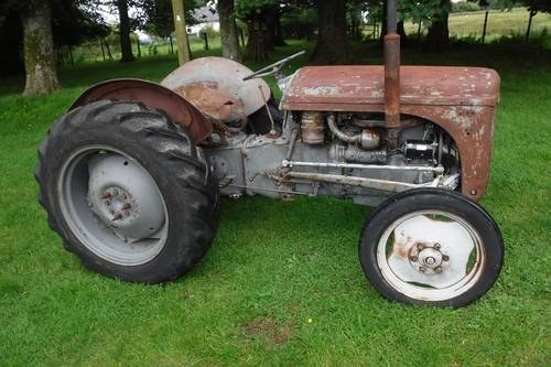 1955 FERGUSON TE20 DIESEL FERGIE ALL WORKS CAN DELIVER SEE VIDEO SOLD