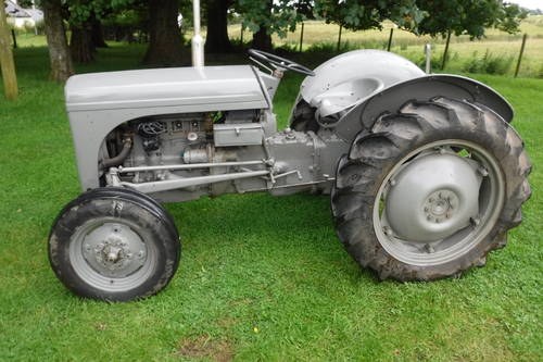 1950 GREY FERGIE SPECIAL TRACTOR ALL WORKS CAN DELIVER SEE VIDEO VENDUTO