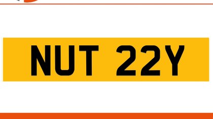 NUT 22Y NUTTY Private Number Plate On DVLA Retention Ready