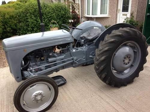 1952 Massey Ferguson Ted 20 petrol Parrafin tractor Kaufen Bei