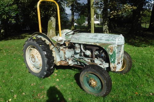 1952 GREY FERGIE EARLY WORKING DIESEL MODEL CAN DELIVER SEE VIDEO For Sale