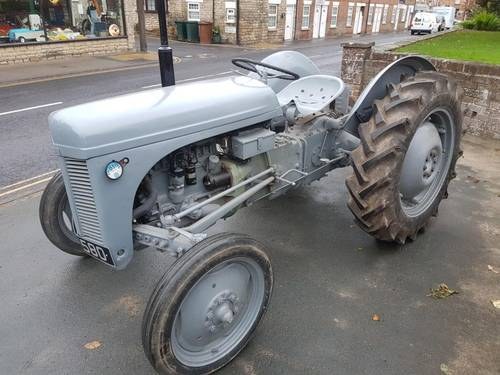 **OCTOBER AUCTION** Grey Ferguson Tractor For Sale by Auction