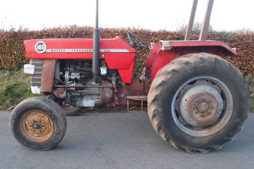 1966 MF165 VERY ORGINAL COMPLETE WORKING TRACTOR SEE VID CAN DROP SOLD