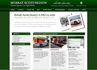 Murray Scott-Nelson image