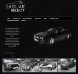 Jaguar Select image