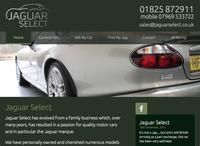 Jaguar Select image