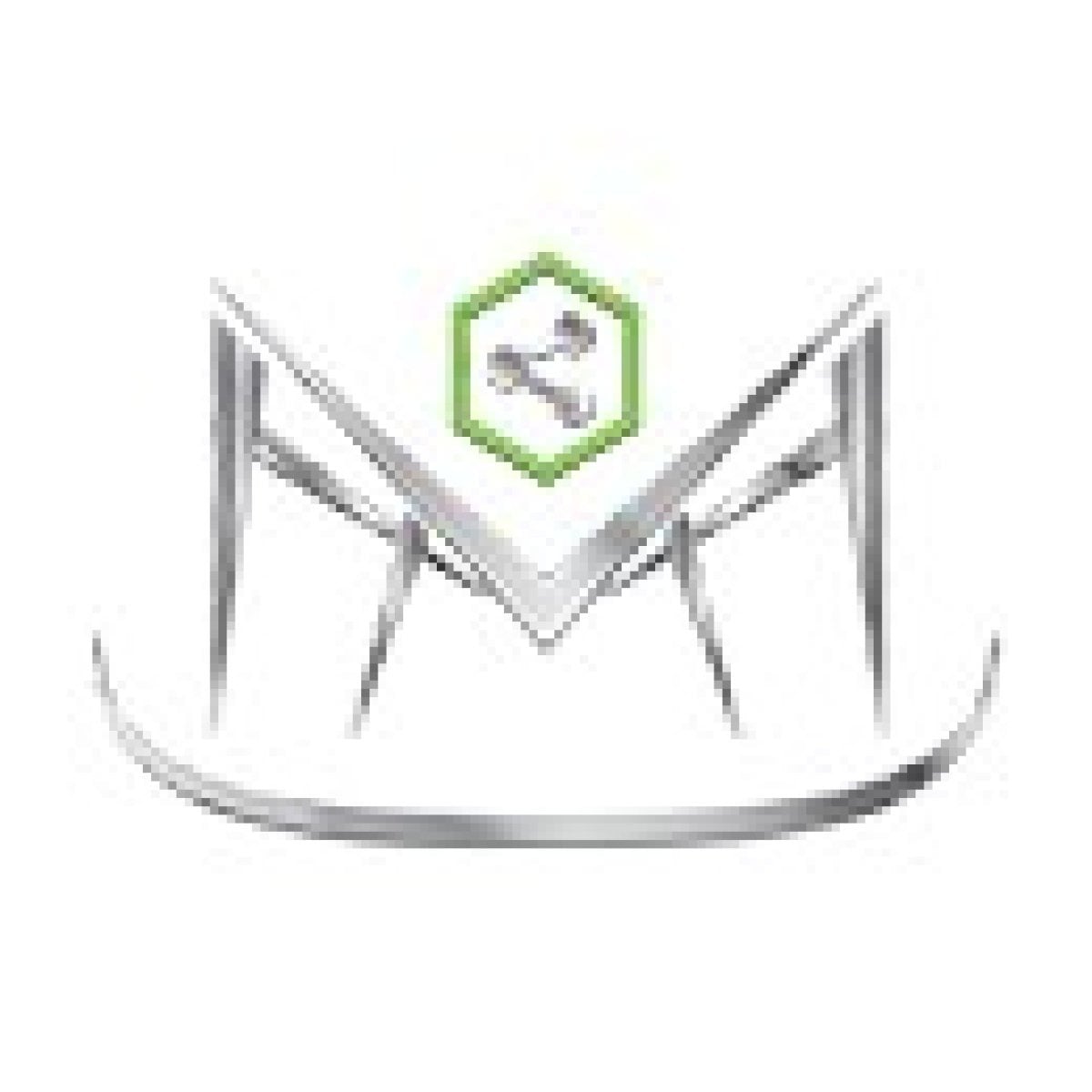 Motorium
